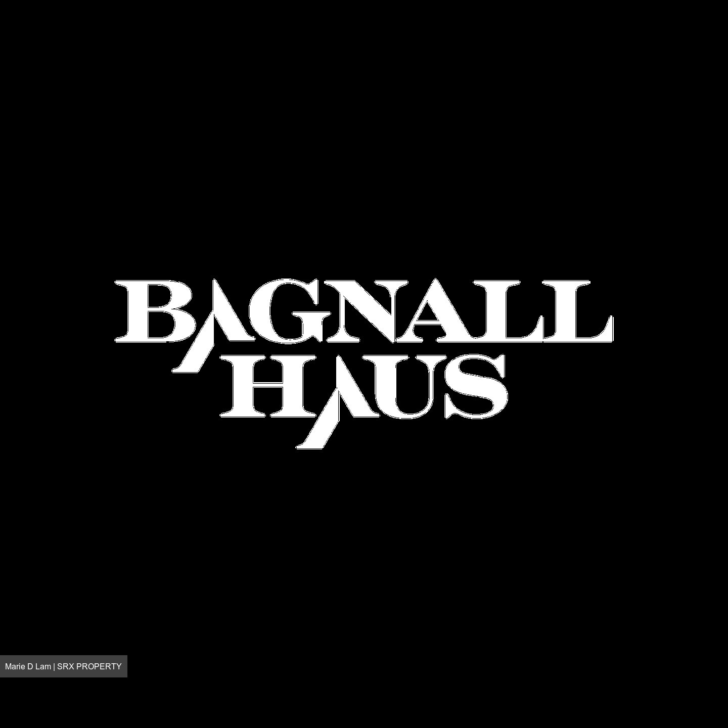 Bagnall Haus (D16), Apartment #597150841
